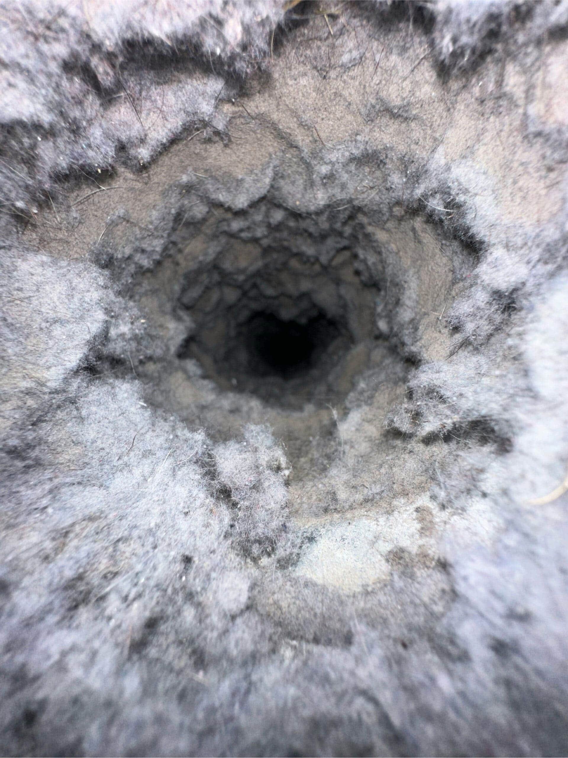Clogged Dryer Vent Before Cleaning Clogged Dryer Vent Before Cleaning and dryer vent mold florida.
