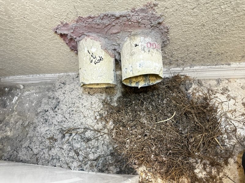 exterior dryer vent hood on a Wildwood, FL home checked for lint buildup