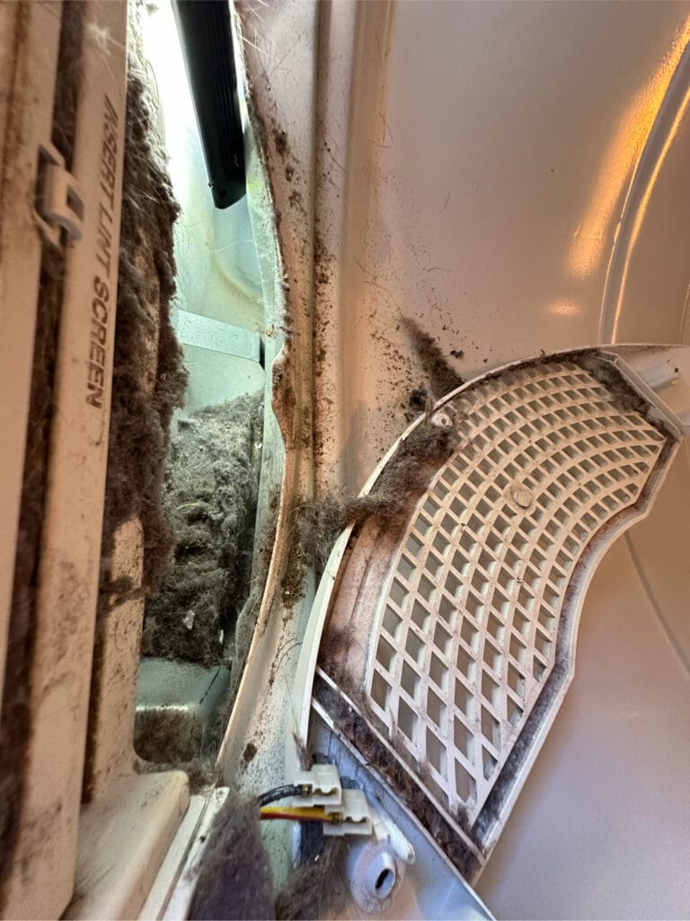 homeowner checking lint trap because dryer smells like burnt rubber