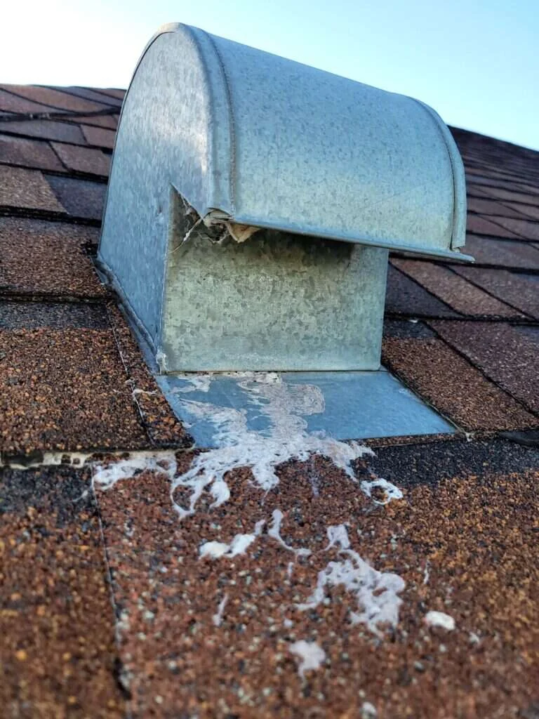 A Burnt Smell Coming From Dryer Vents? What to Do Right Now 4 exterior dryer vent hood covered in debris near Wildwood FL home
